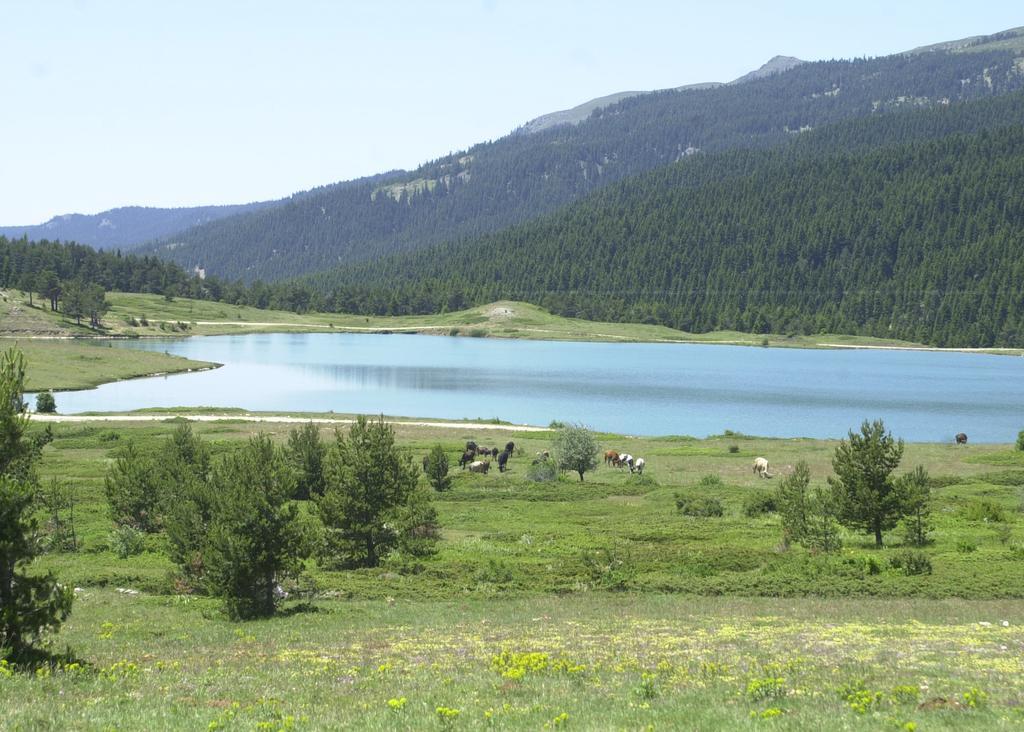 منتجع وفندق فيركو إلغاز ماونتين Ilgaz المظهر الخارجي الصورة