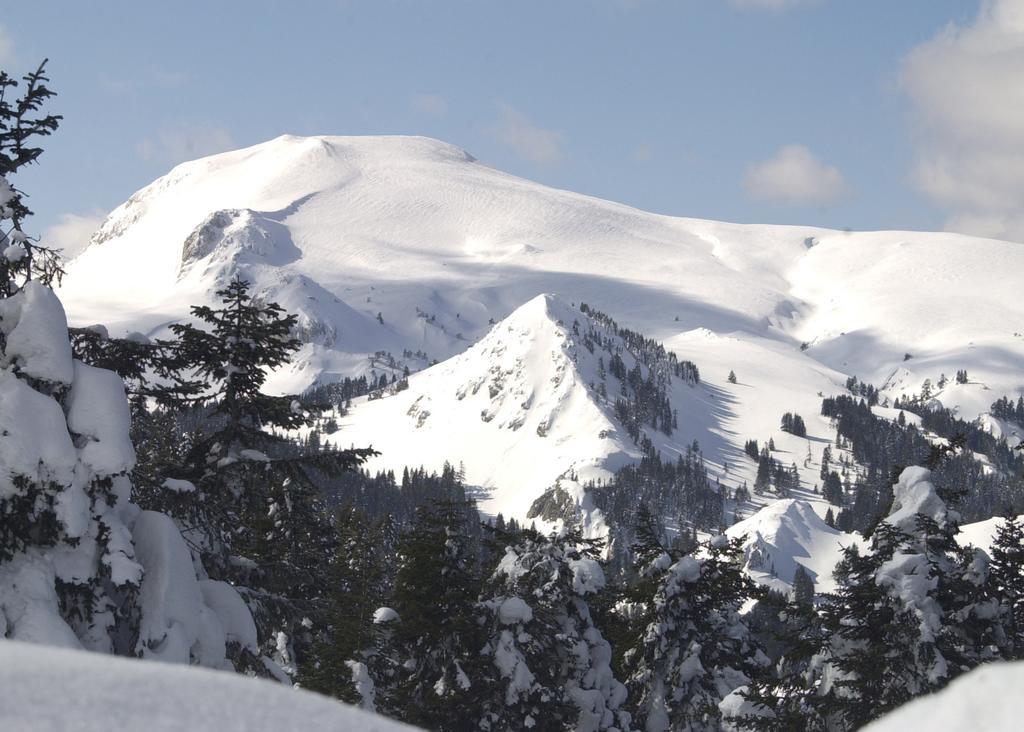منتجع وفندق فيركو إلغاز ماونتين Ilgaz المظهر الخارجي الصورة