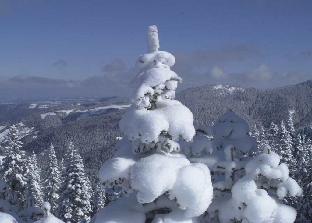 منتجع وفندق فيركو إلغاز ماونتين Ilgaz المظهر الخارجي الصورة