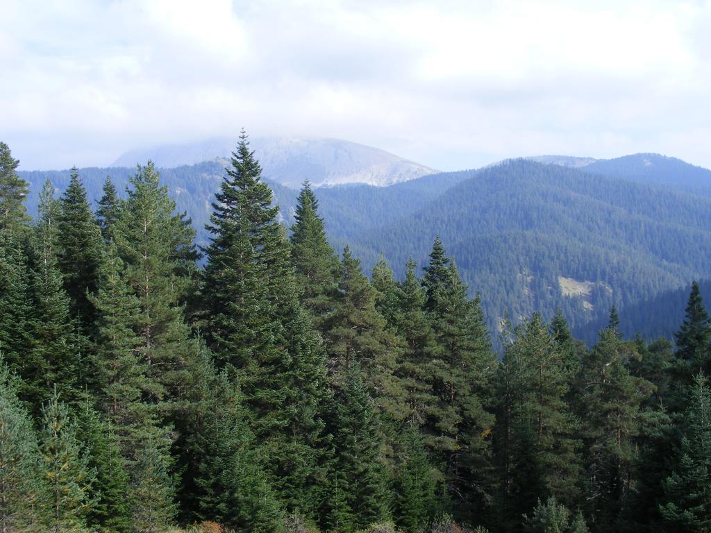 منتجع وفندق فيركو إلغاز ماونتين Ilgaz المظهر الخارجي الصورة